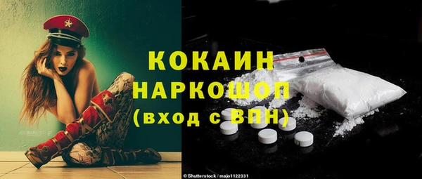 сатива Бронницы
