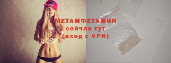 прущие грибы Бугульма