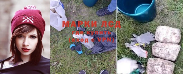 спайс Богородицк