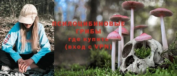 spice Бородино