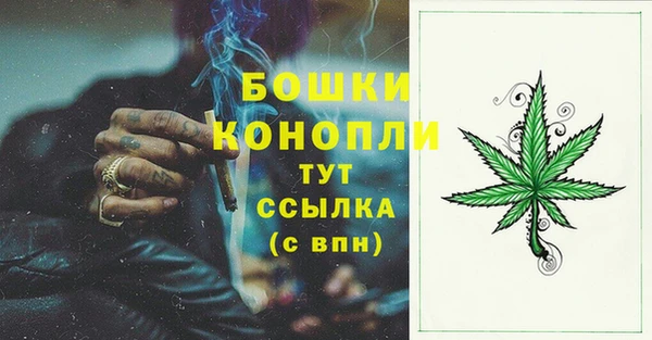 ГАЛЛЮЦИНОГЕННЫЕ ГРИБЫ Богородск
