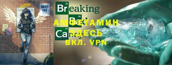прущие грибы Бугульма